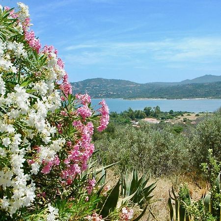 Bella Vista With Sea View - Happy Rentals Cugnana Luaran gambar